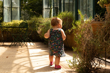 Adorable baby girl exploring a sunlit greenhouse, wearing a pretty summer dress.