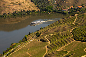 UNESCO World Heritage, a Cruise in  Douro River, Vineyards Valley in Sao Joao da Pesqueira, Viseu, Portugal.