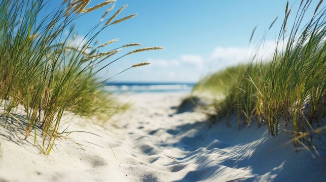 Panoramic landscape background banner panorama of sand dune, beach and ocean north sea with blue sky, clouds and sunbeams - Powered by Adobe