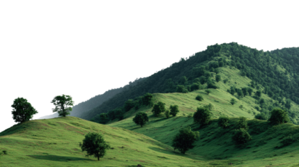 Serene Green Hillscape: A breathtaking view of rolling green hills. Trees dot the landscape, the scene is a perfect blend of nature's beauty and tranquility.