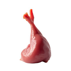 A piece of raw chicken