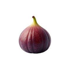 A single fig