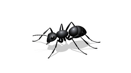 tar flat icon on white transparent background. You can be used black ant icon for several purposes.