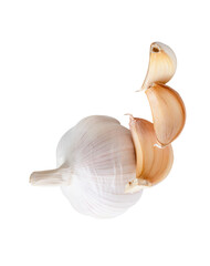 Side view of one bulb and three unpeeled garlic cloves or pieces in stack isolated with clipping path in png file format