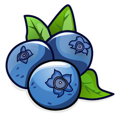 This is an illustration of some blueberries