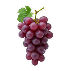 Fototapeta premium A bunch of purple grapes with a green leaf on top