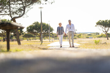 Obraz premium Senior couple walking in park holding hands on sunny day
