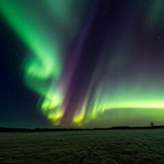 Vibrant Green and Purple Aurora Borealis Over a Snowy Field
