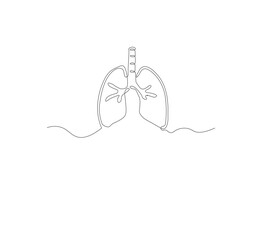 Continuous single line on the anatomy of the lungs. White background Minimalist vector illustration.