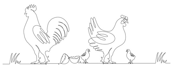 continuous line drawing of chicken and chicks 2
