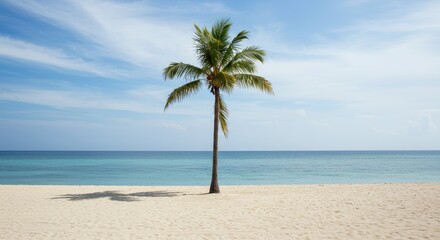 Obraz premium Serene Palm Tree on Tropical Beach - Peaceful ocean view, single palm tree, white sand beach, blue sky, tranquil escape. Symbolizes serenity, paradise, relaxation, vacation, and nature