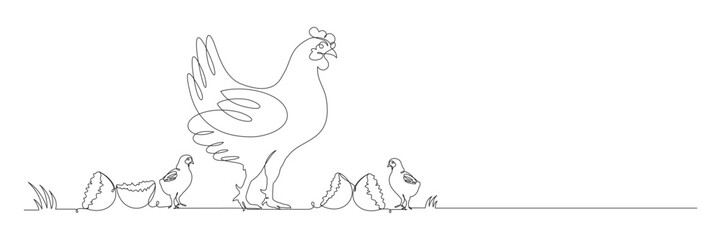 continuous line drawing of chicken and chicks 3