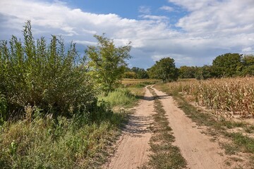 Dirt road through green meadows in the countryside