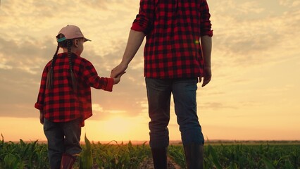 Child girl, dad go hand in hand, field corn sprouts. Family farming business. Agricultural...