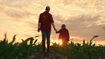 Dad daughter hold hands in field. Father, child walk on field, sunset. Kid girl, dad go hand in hand, field corn sprouts. Family farming business. Agricultural industry. Growing corn, organic food - Powered by Adobe
