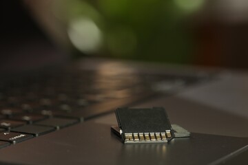 SD memory cards on laptop against blurred background, closeup