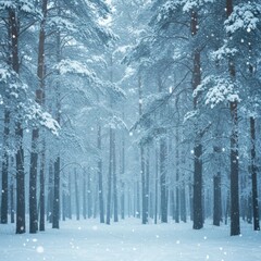 Snowy Pine Forest Winter Wonderland Scene