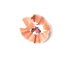 Color lip pencil shavings isolated on white, top view