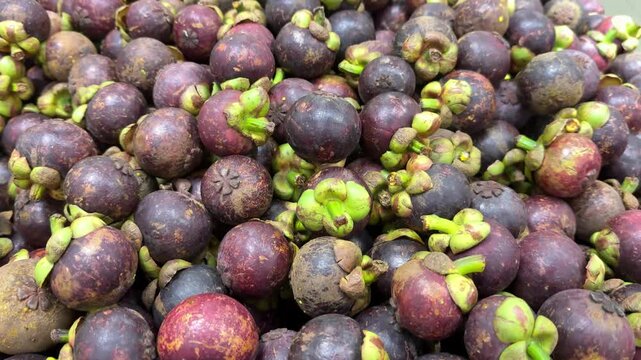 Pile of fresh mangosteen retail sale in local market. Manggis or mangosteen or garcinia mangostana or purple mangosteen is sweet, tangy and juicy. 