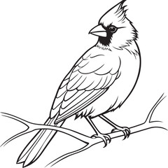 Cardinal bird on branch vector silhouette, Bird on a branch line art, Vector illustration