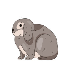 Wildlife gray rabbit or grey easter bunny. Vector forest hare or wildlife wood animal. Spring holiday domestic mammal or countryside herbivore pet. Wood fauna or nature, biology and zoology card.