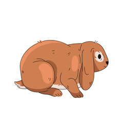 Herbivore animal or brown bunny. Vector forest or wood hare. Easter domestic rabbit or April holiday symbol, spring festive element. Farm pet or wildlife mammal. Biology and zoology, wild nature.