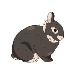 Forest hare or wood rabbit. Vector easter fluffy bunny. Animal symbol for spring holiday or festive. Wildlife woodland fauna. Domestic nocturnal pet or mammal with whiskers and long ears. Zoology.