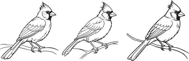 Cardinal bird on branch vector silhouette, Bird on a branch line art, Vector illustration