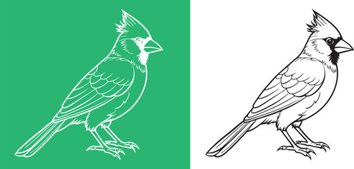 Cardinal bird on branch vector silhouette, Bird on a branch line art, Vector illustration