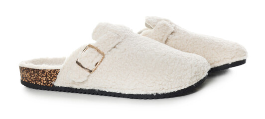 Pair of stylish slippers isolated on white