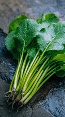 Obraz premium Freshly harvested bunch of vibrant green leafy vegetables glistening with water droplets, displayed on a dark surface.