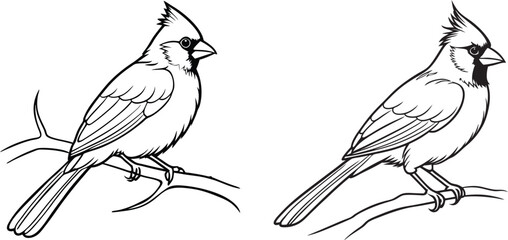 Cardinal bird on branch vector silhouette, Bird on a branch line art, Vector illustration