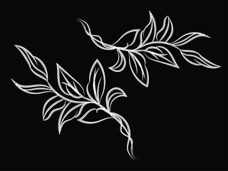 Elegant White Line Art Botanical Branches on Black Background