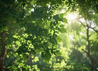 Blurred green leaves, dappled sunlight, indistinct shapes,  out of focus,  vibrant green,  image
