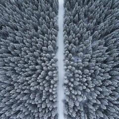 Aerial View of Snow Covered Forest with Road