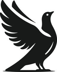 Vector pigeon bird silhouette isolated