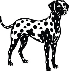Fototapeta premium Dalmatian Silhouette With Spot Outlines