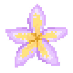 Pixelated plumeria Tropical Flower