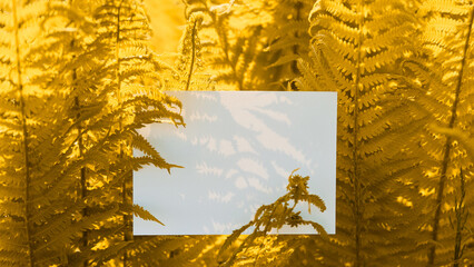Blank white card surrounded by vibrant yellow fern leaves with shadows in sunlight