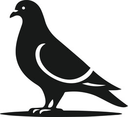 Vector pigeon bird silhouette isolated