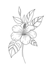 Hibiscus Line Dance AI Generated