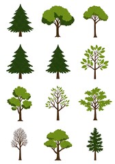 Fototapeta premium Forest's Palette: A Sylvan Collection AI Generated