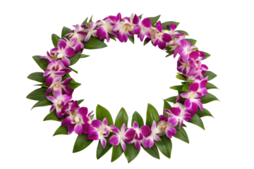 PNG Vibrant orchid lei with pink and white flowers on black background