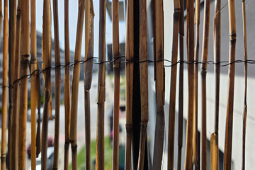 Natural Bamboo Privacy Fence in Urban Setting for Outdoor Decoration