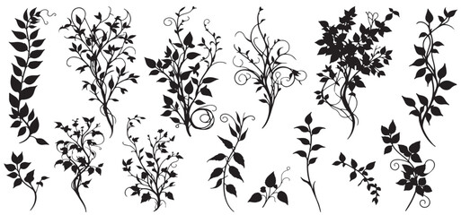 collection of different flowers and leaves vector set