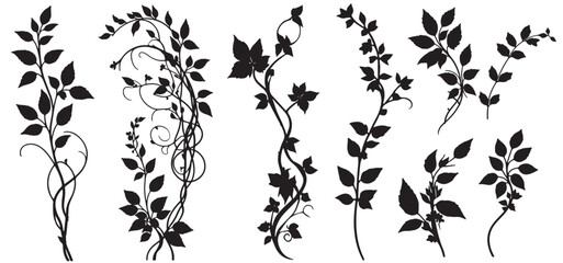 Jungle creeper silhouettes. Tropical forest lianas, rainforest hanging sprouts. Climbing liana vines flat set vector