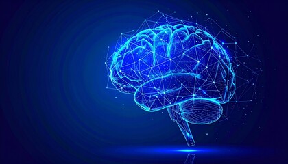 Human Brain Digital Network