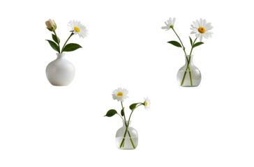 Clean minimalist white flowers isolated on neutral background