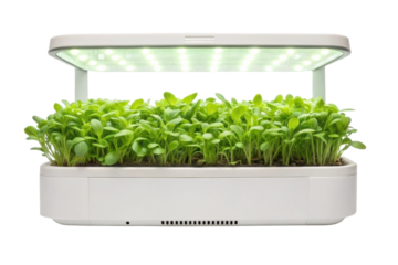 PNG Indoor hydroponic garden with led lights and fresh green leaves