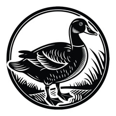 Fototapeta premium Duck on white background